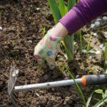 Hacke für den Garten