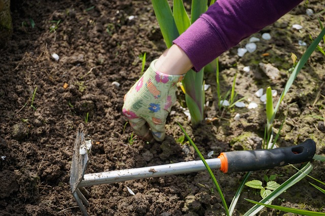 Hacke für den Garten